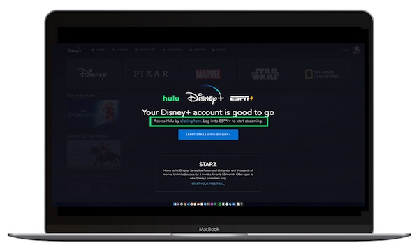 16+ How To Activate Disney Plus With Hulu